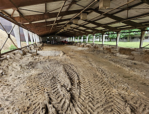 Rekonstrukce haly výkrmu prasat